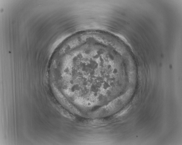 X0000070410879200606302033