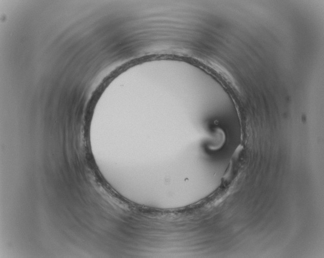 X0000070410880200606302033