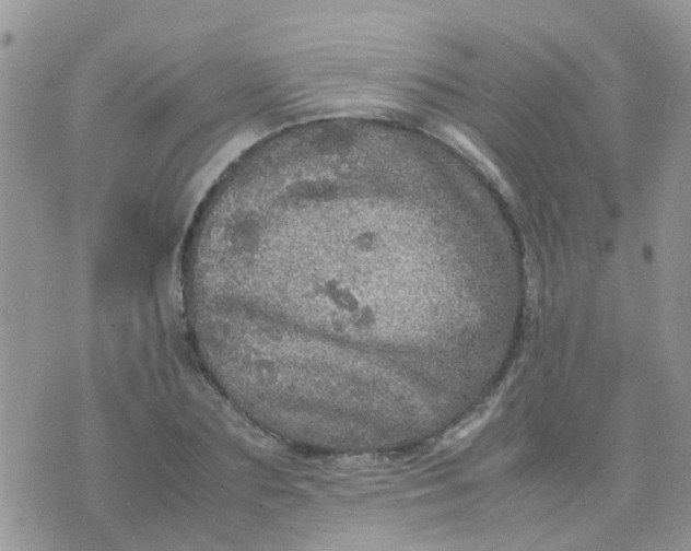 X0000070410883200606302033