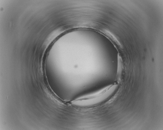 X0000070410884200606302033