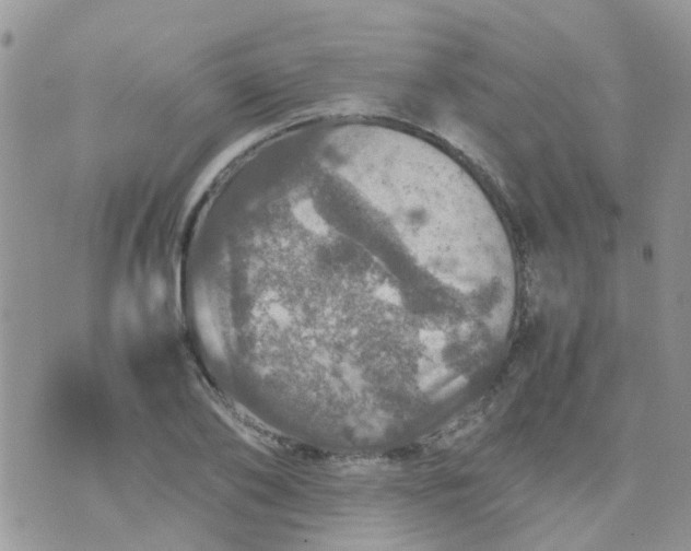 X0000070410886200606302033