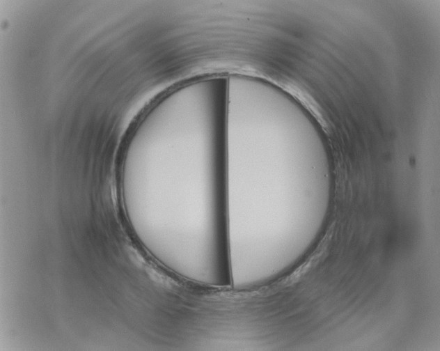 X0000070410888200606302033