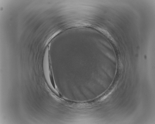 X0000070410889200606302033