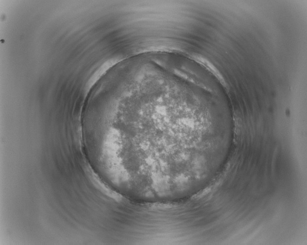 X0000070410890200606302033