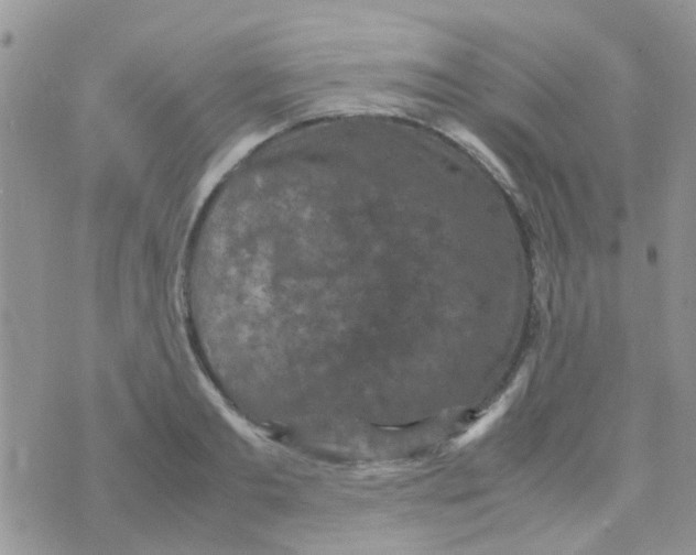 X0000070410893200606302033