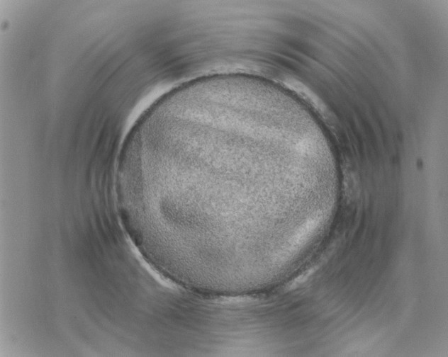 X0000070410894200606302033