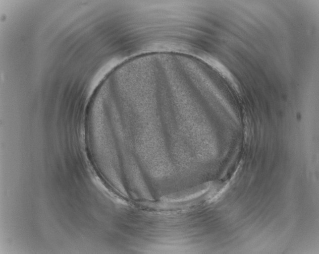 X0000070410896200606302033