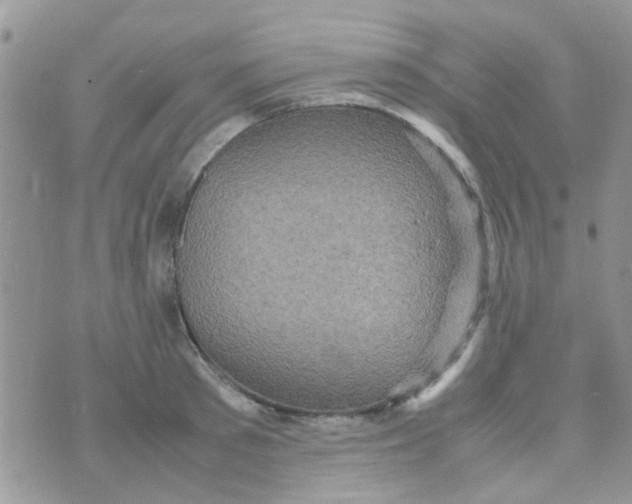 X0000070410897200606302033