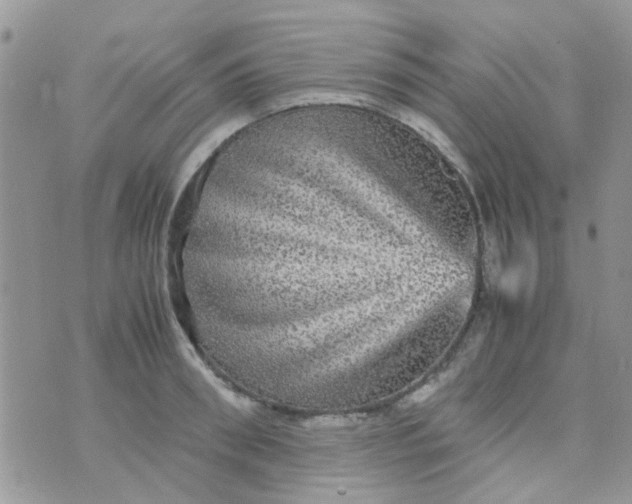 X0000070410898200606302033