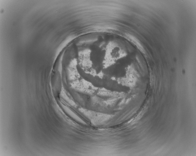 X0000070410899200606302033