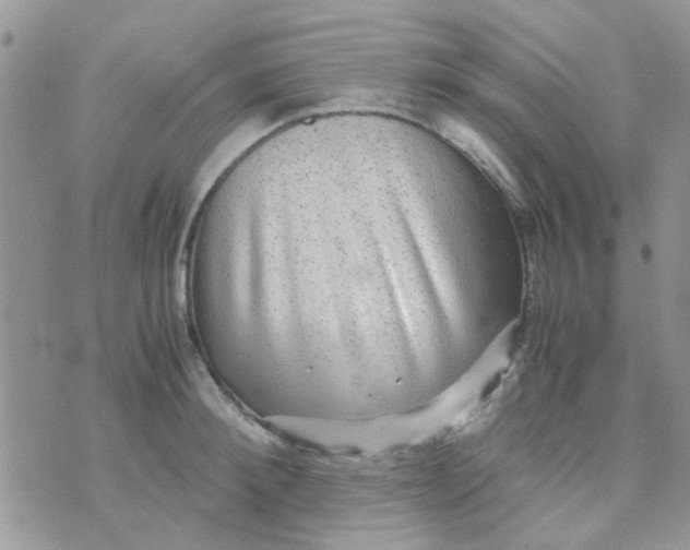 X0000070410900200606302033