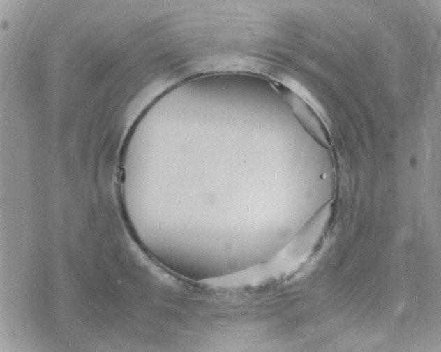 X0000070410901200606302033