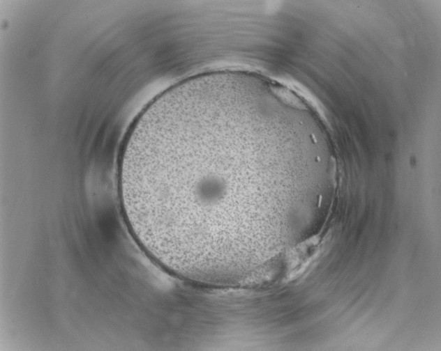 X0000070410902200606302033