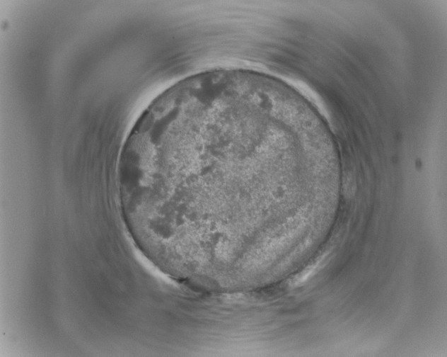 X0000070410903200606302033