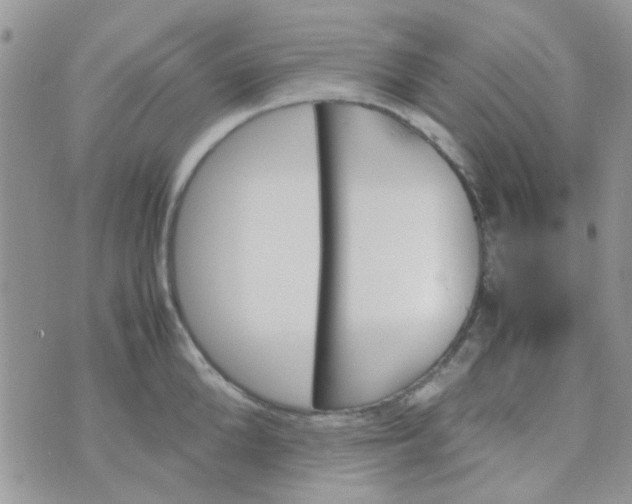 X0000070410904200606302033