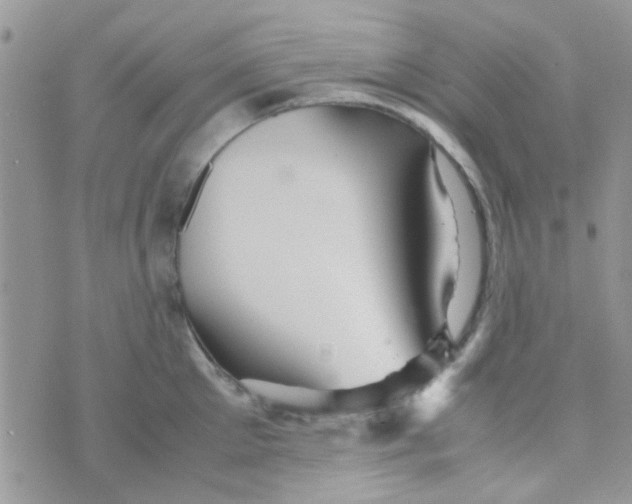 X0000070410905200606302033