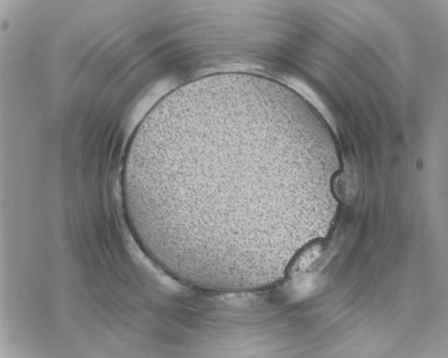 X0000070410906200606302033