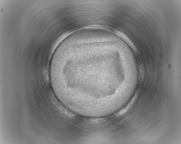 X0000070410908200606302033