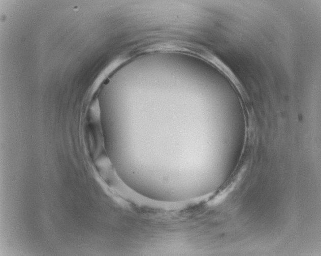 X0000070410909200606302033