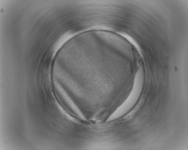 X0000070410910200606302033