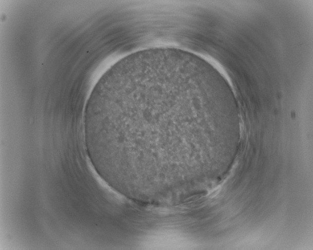 X0000070410911200606302033