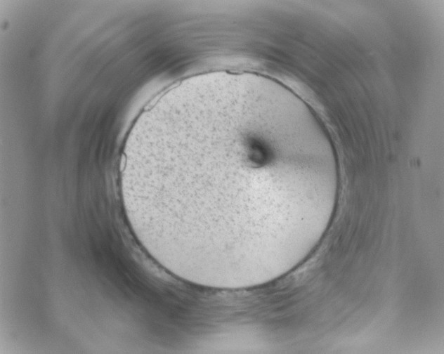 X0000070410912200606302033