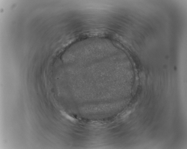 X0000070410913200606302032