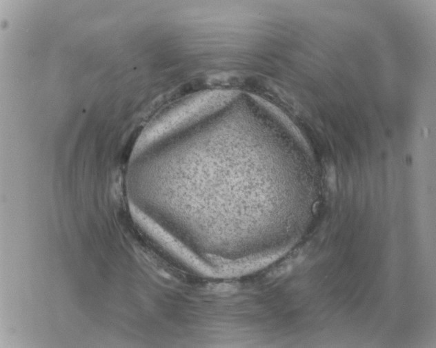 X0000070410914200606302032