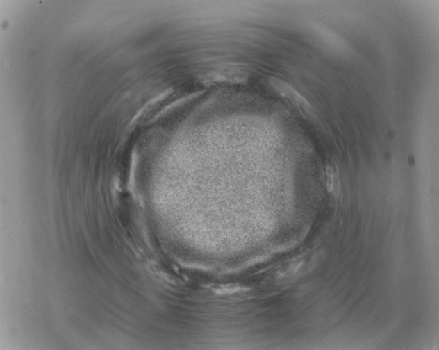 X0000070410915200606302032