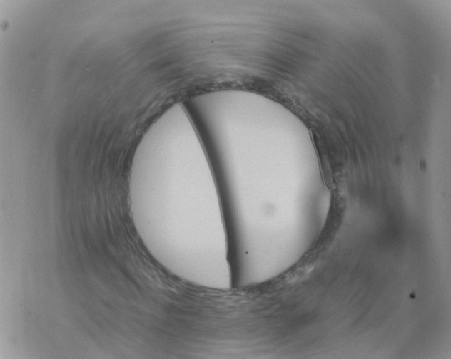 X0000070410916200606302032