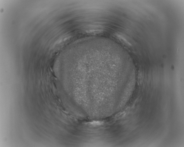 X0000070410917200606302032