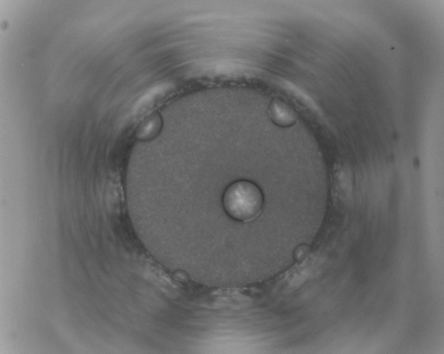 X0000070410918200606302032