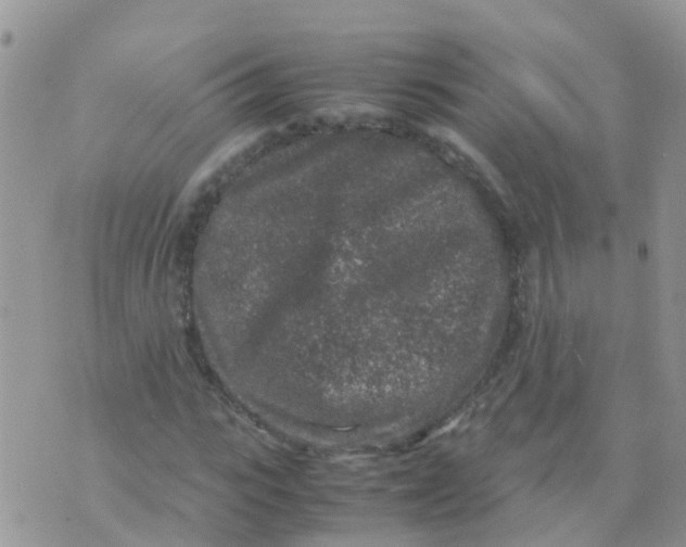 X0000070410919200606302032