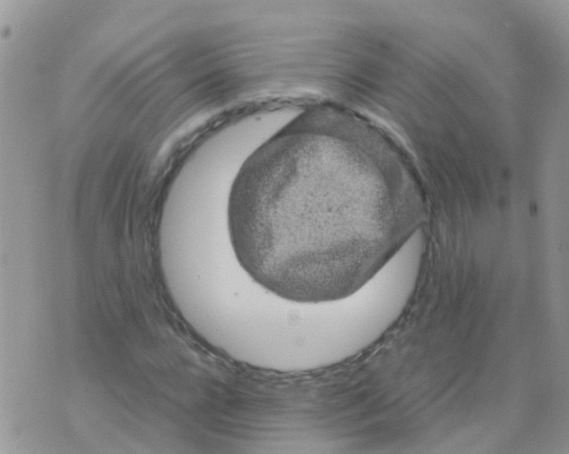 X0000070410920200606302032