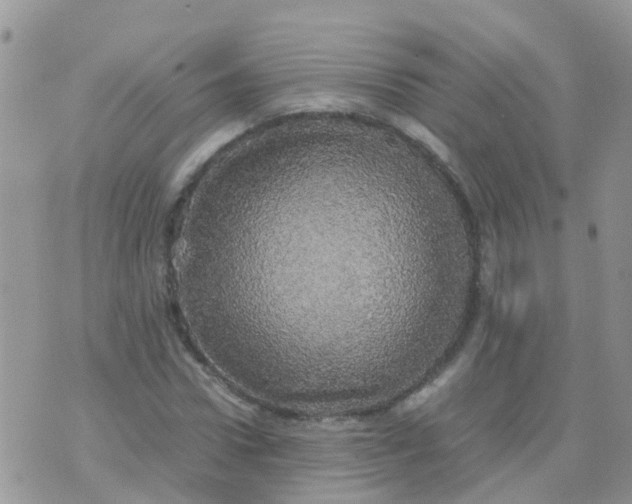 X0000070410922200606302032