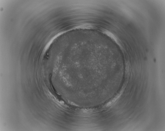 X0000070410923200606302032