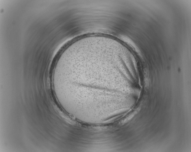 X0000070410924200606302032