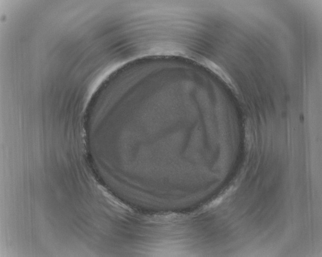 X0000070410926200606302032