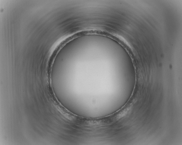 X0000070410927200606302032