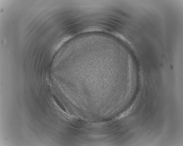 X0000070410929200606302032