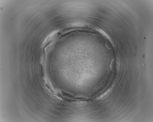 X0000070410930200606302032