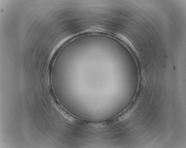 X0000070410931200606302032