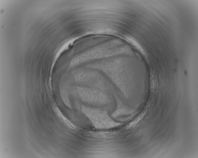 X0000070410932200606302032