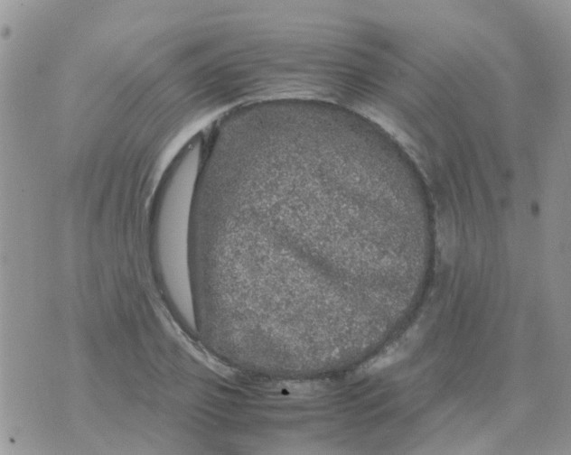 X0000070410933200606302032