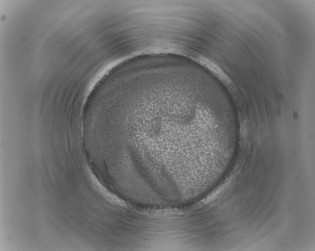 X0000070410934200606302033