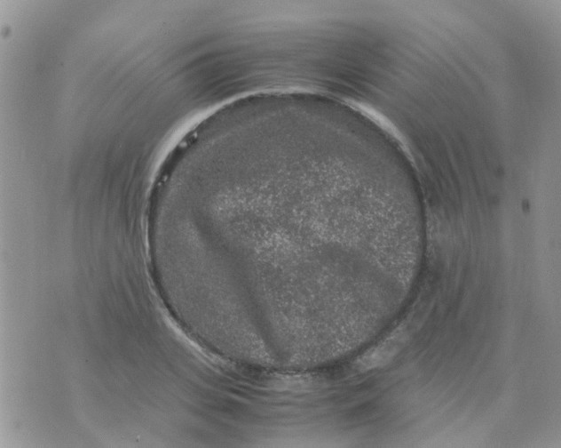 X0000070410935200606302033