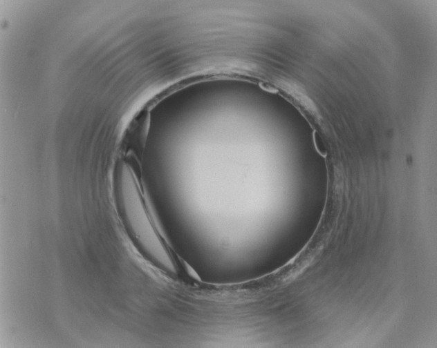 X0000070410936200606302033