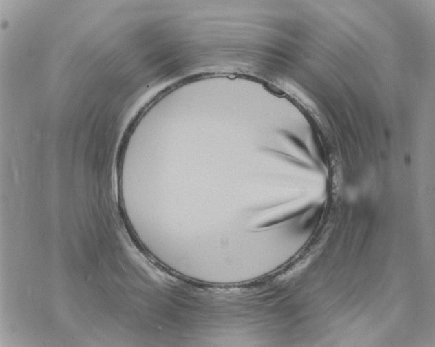 X0000070410940200606302033