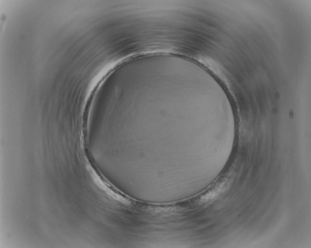 X0000070410941200606302033