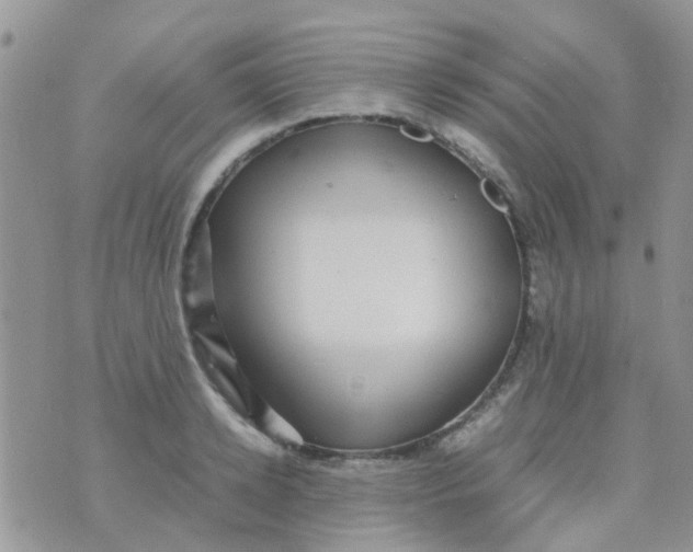 X0000070410942200606302033